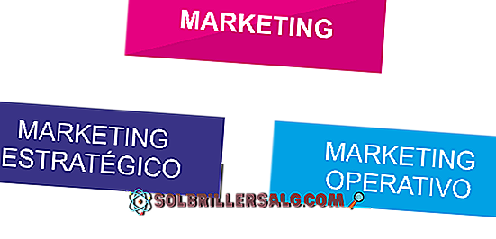 Servizio di marketing: caratteristiche, strategie, importanza ed esempi