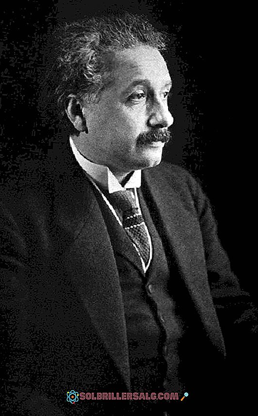 Albert Einstein Biografia E Contributi Alla Scienza 21