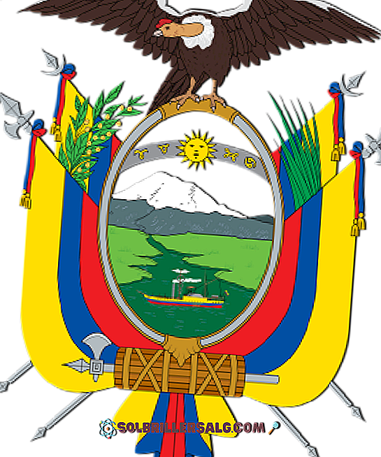 Os Símbolos Nacionais Do Equador E Seu Significado 2021