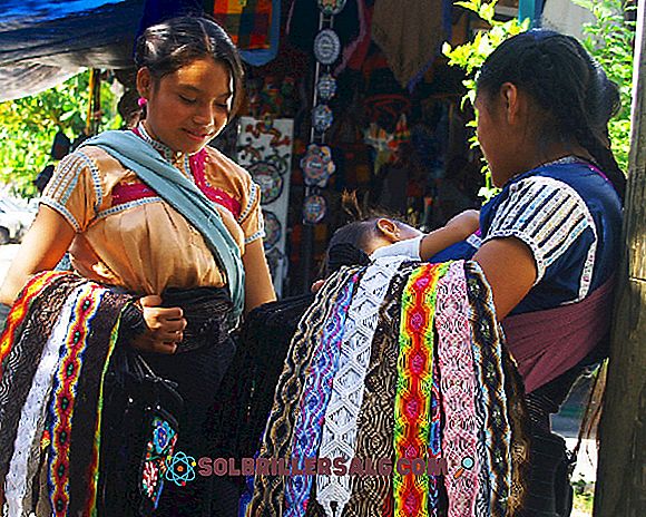 13-те етнически групи на Chiapas Principales