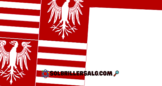 Drapelul Poloniei