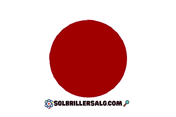Steagul Japoniei Istorie È™i SemnificaÈ›ie 2021