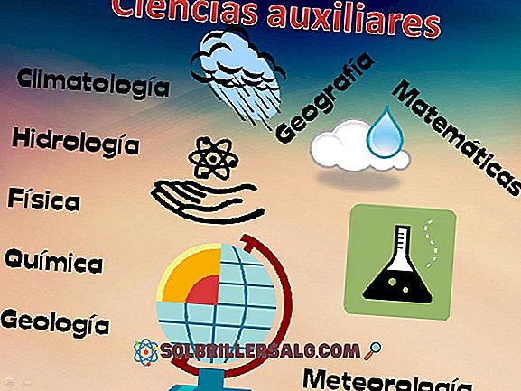 Științe Fácticas: Istorie, tipologie și principală metodologie