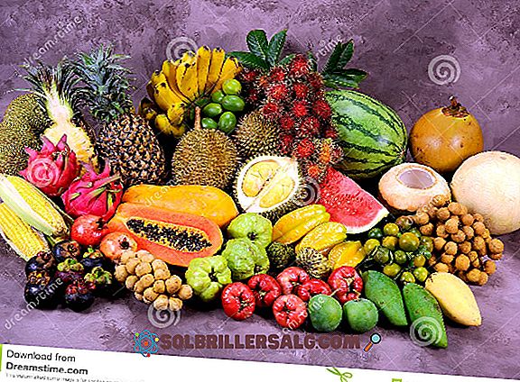 10-те плодове на най-общото еквадорско крайбрежие