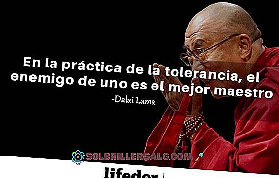 100 Frasi Del Dalai Lama Su Amore Ottimismo E Vita 21