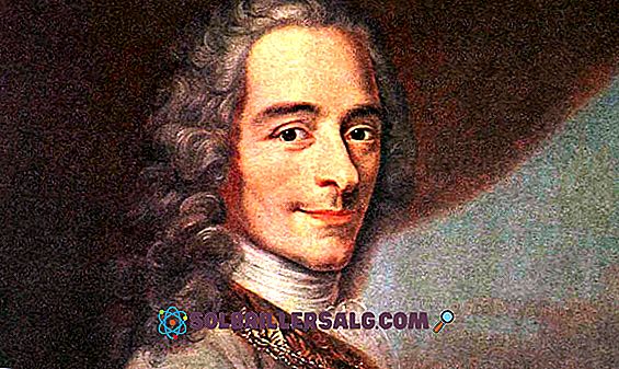 Voltaire: biografia, myśl, prace i wkłady
