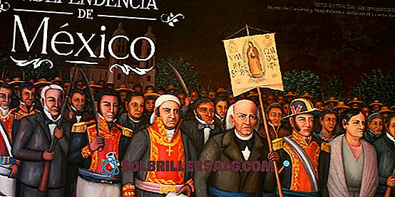 Batalha de Pichincha: causas, desenvolvimento, conseqüências e personagens