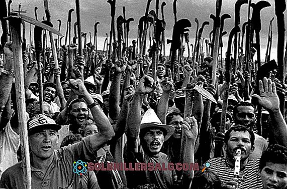 Phong trào công nhân ở Mexico: Lịch sử và các phong trào chính