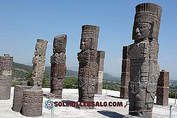 De 5 bidragene til de viktigste Mixtecs