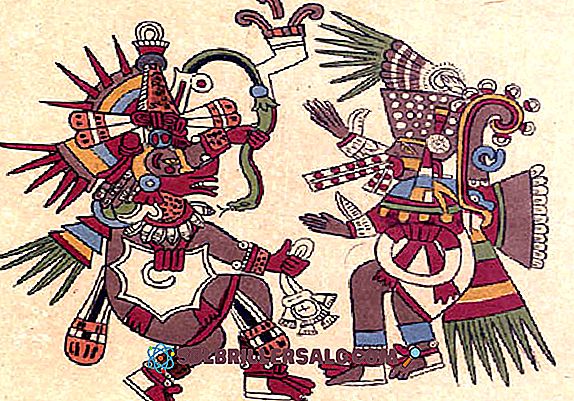 Was war die Ausbildung der Maya? - 2022