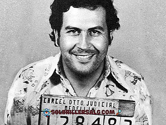 De 100 bästa fraserna av Pablo Escobar Gaviria